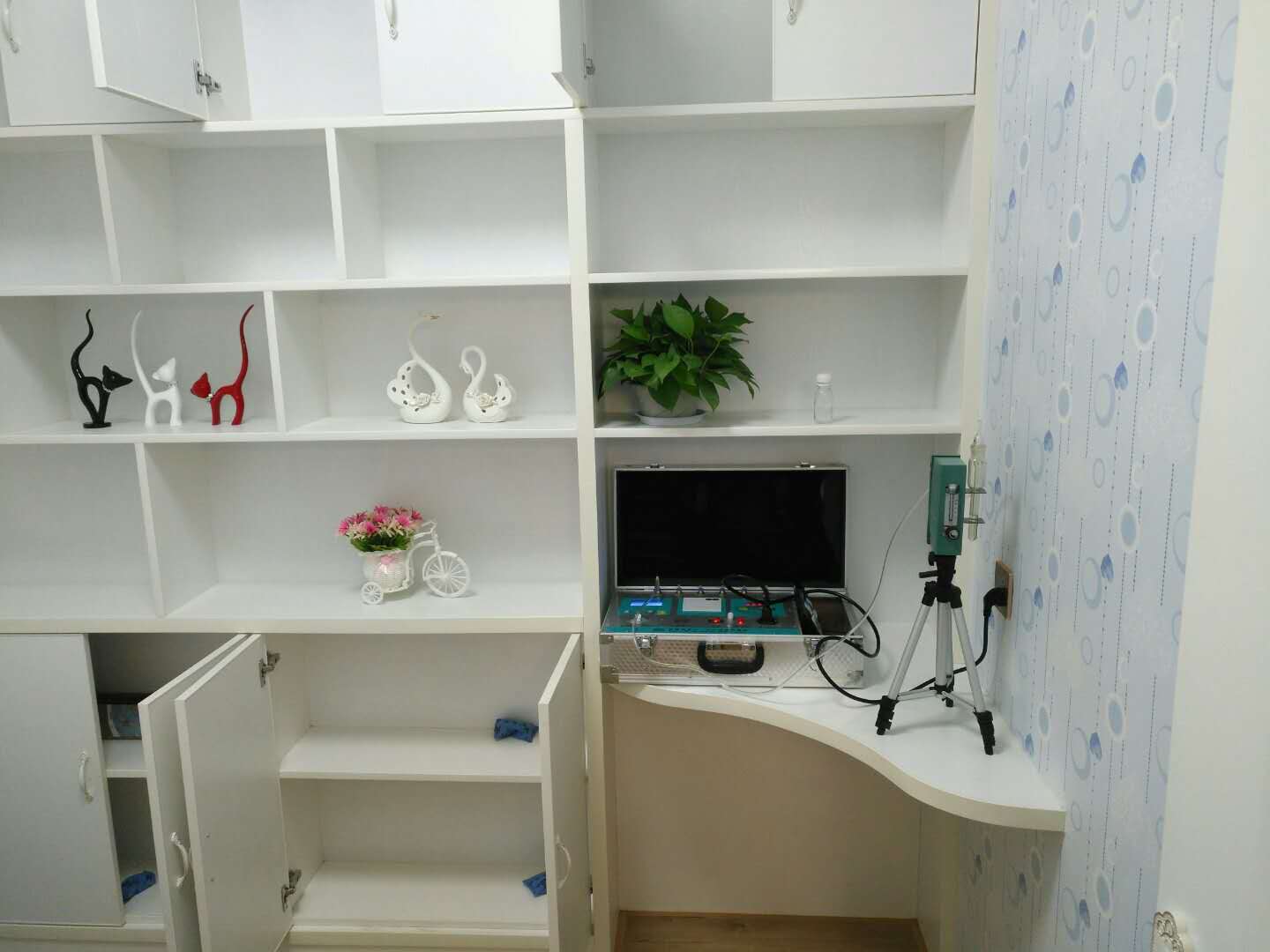 武漢市嘉凈鴻環(huán)?？萍加邢薰? style=