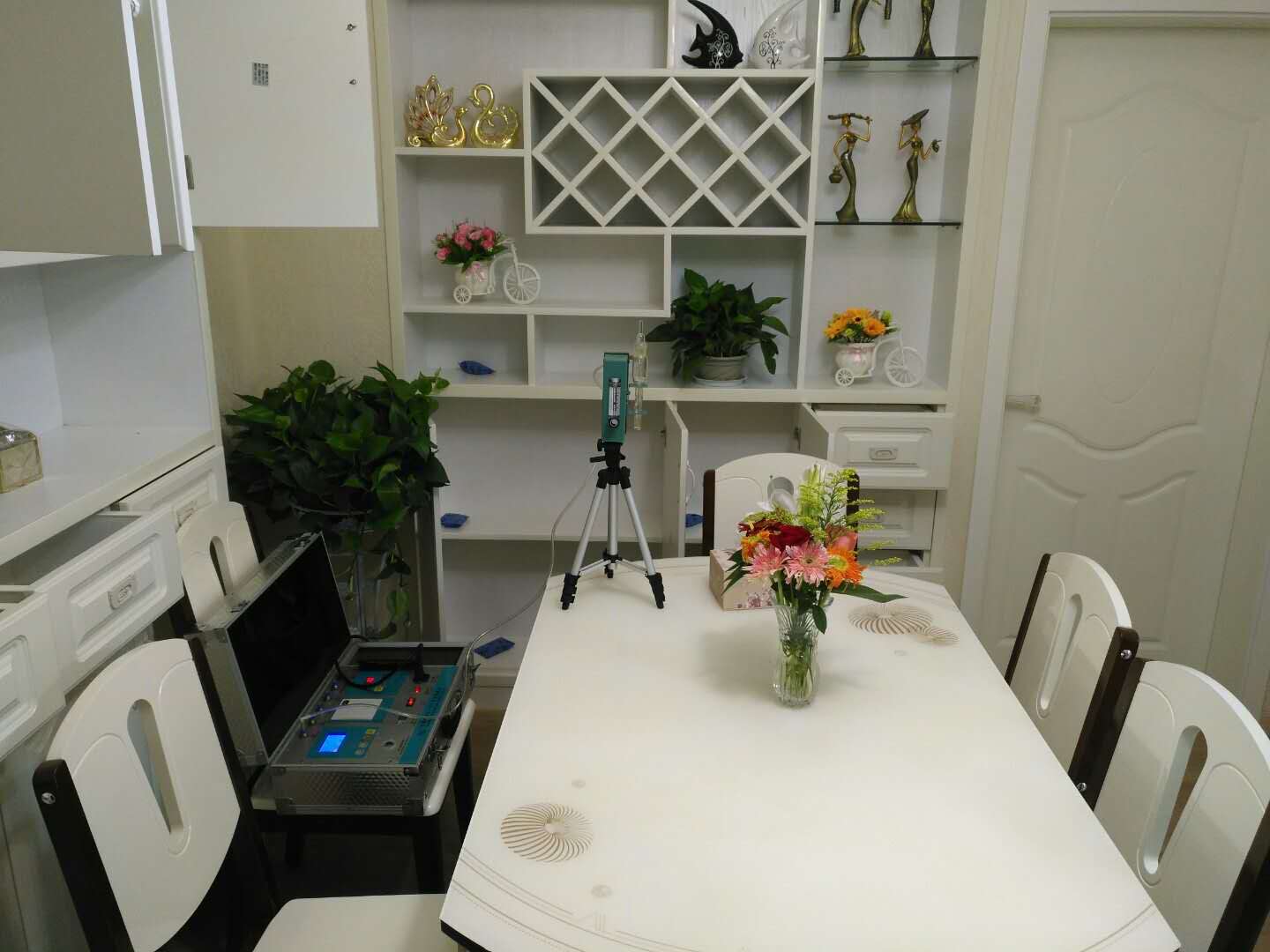 武漢市嘉凈鴻環(huán)?？萍加邢薰? style=