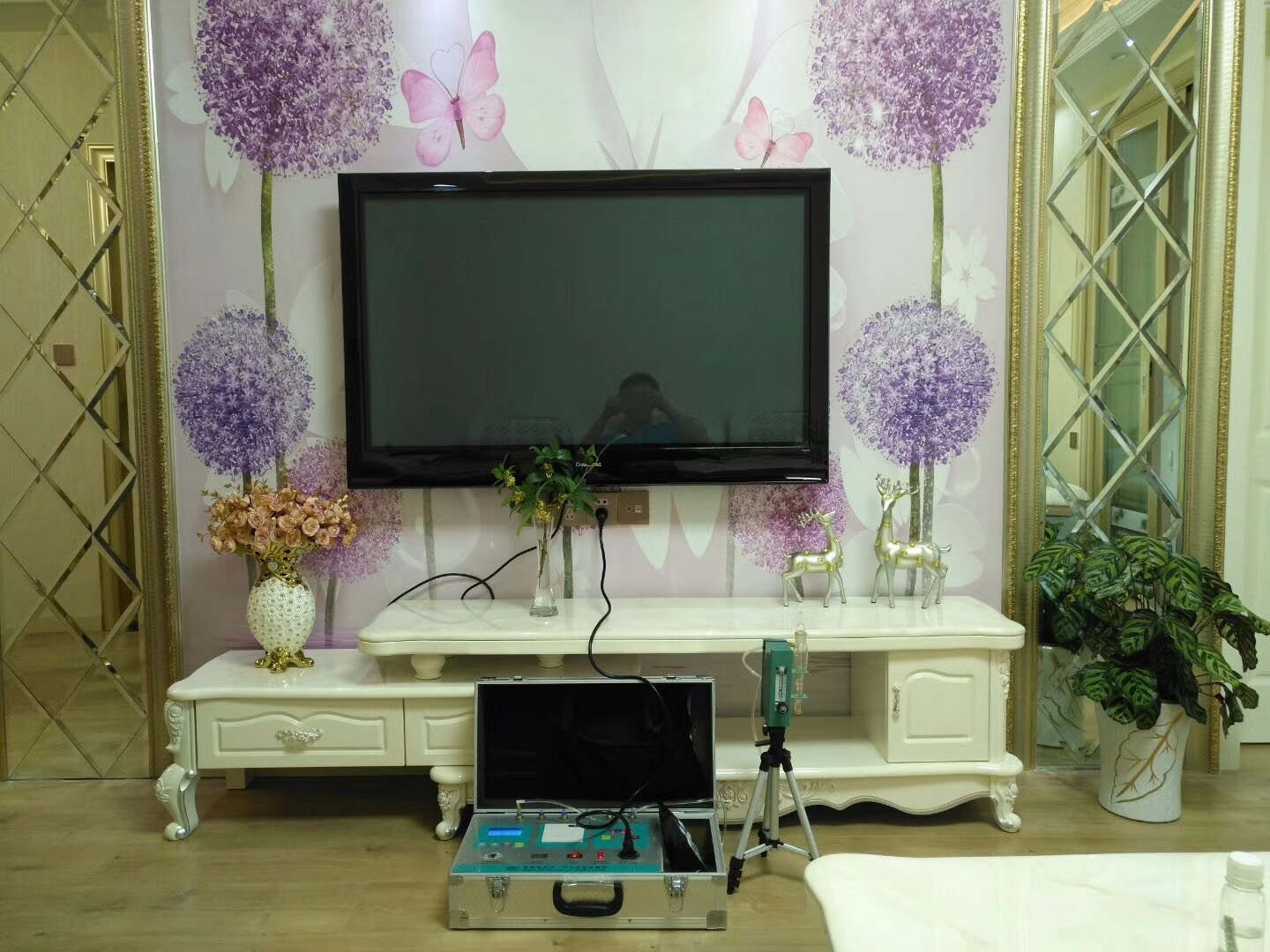 武漢市嘉凈鴻環(huán)?？萍加邢薰? style=