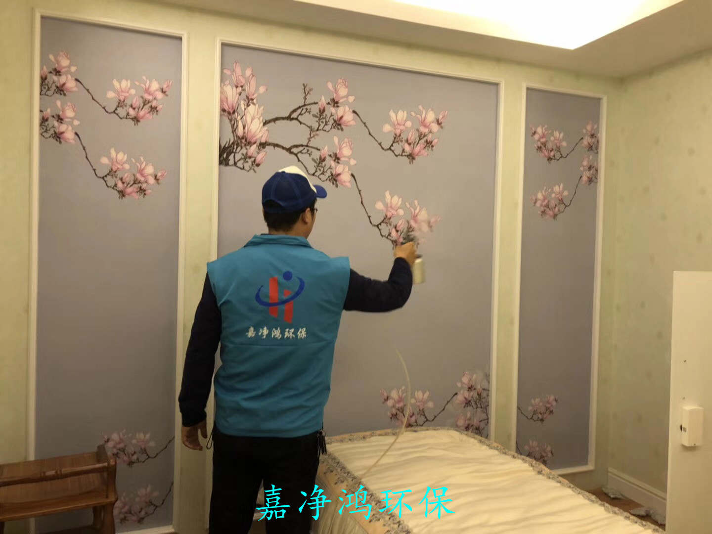 武漢市嘉凈鴻環(huán)?？萍加邢薰? style=