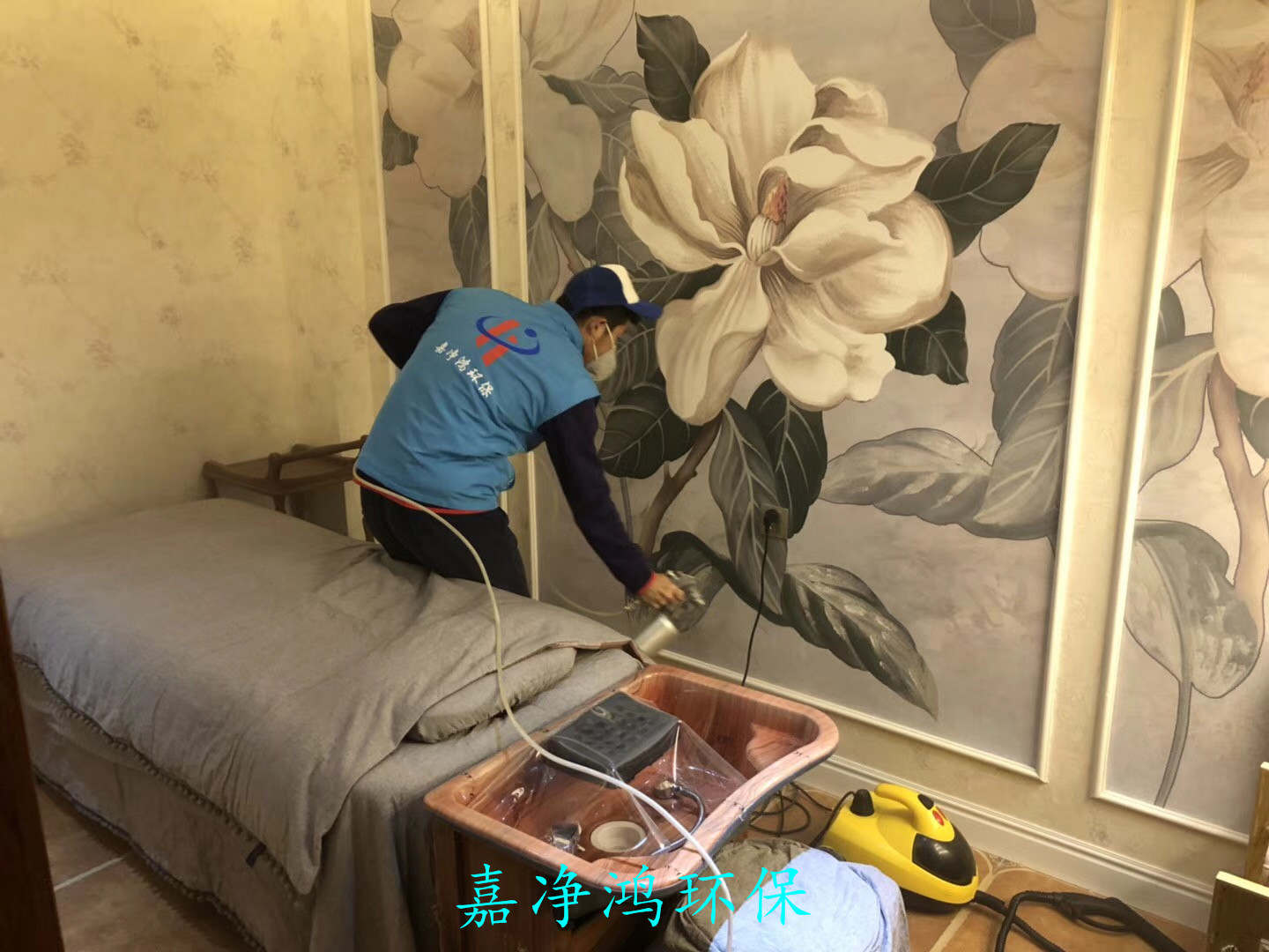 武漢市嘉凈鴻環(huán)?？萍加邢薰? style=