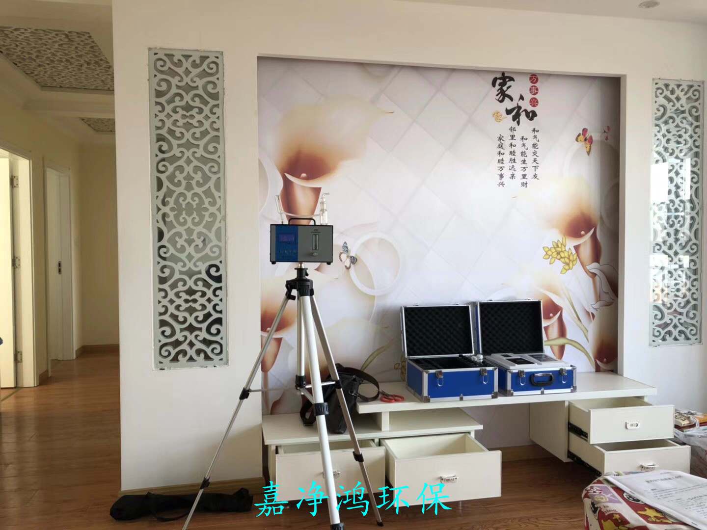 武漢市嘉凈鴻環(huán)?？萍加邢薰? style=