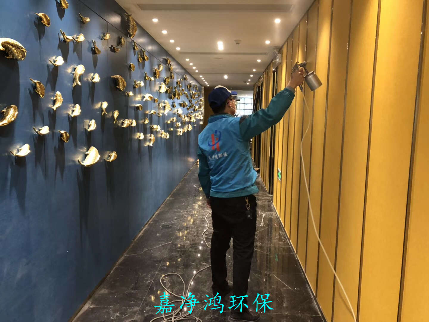 武漢市嘉凈鴻環(huán)?？萍加邢薰? style=