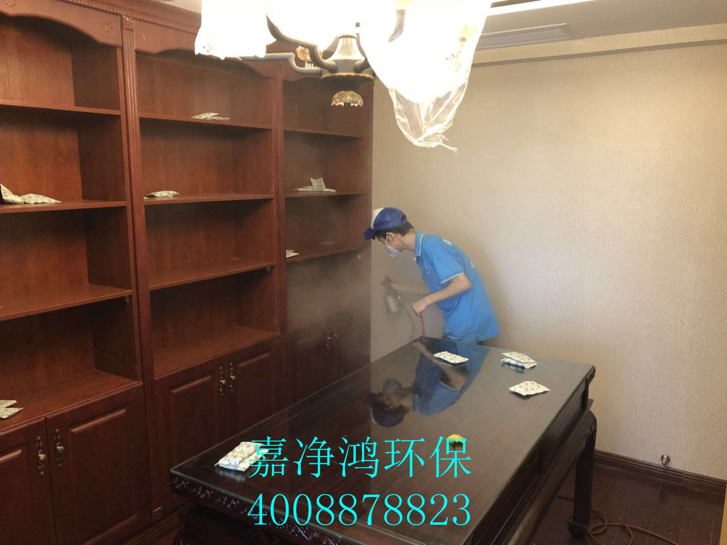 武漢市嘉凈鴻環(huán)?？萍加邢薰? style=