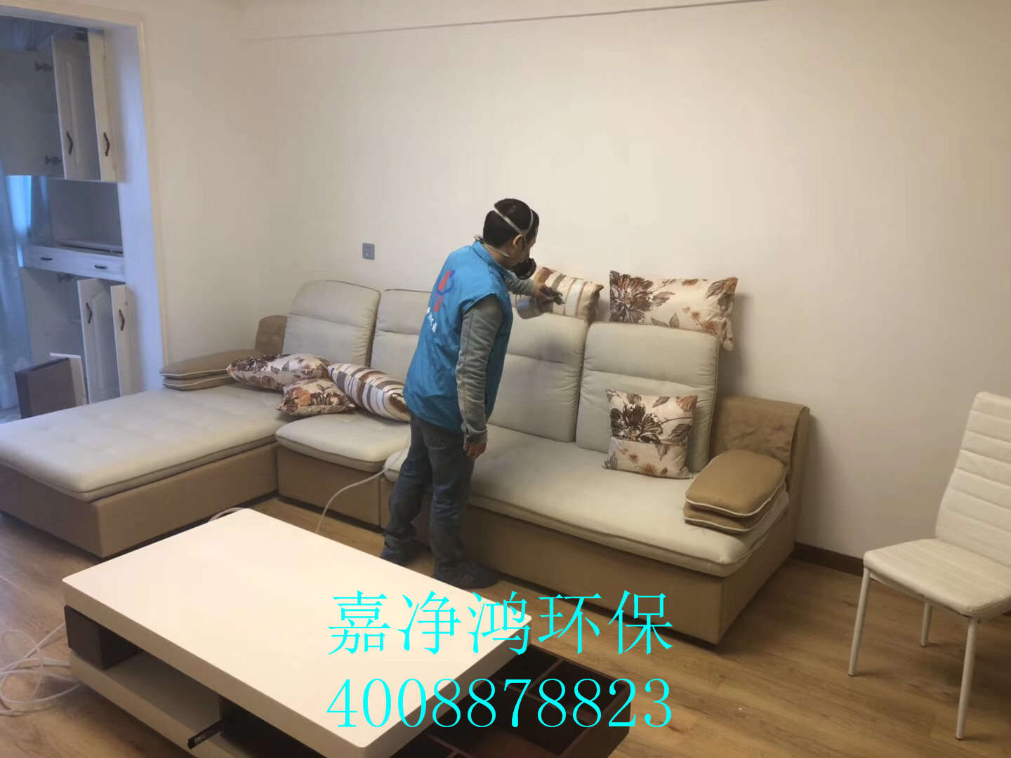 武漢市嘉凈鴻環(huán)?？萍加邢薰? style=